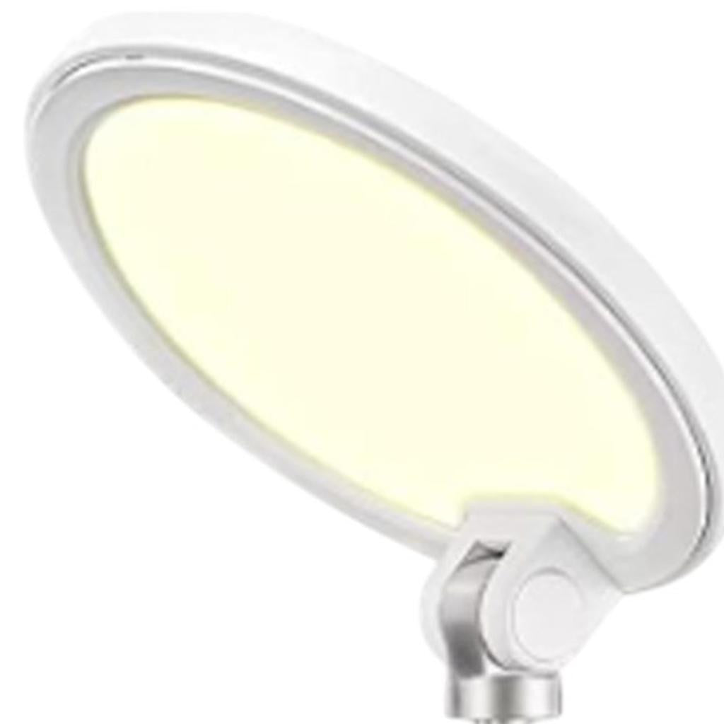 22" White Metal And Plastic Adjustable Portable Desk Lamp LED With Phone Clamp